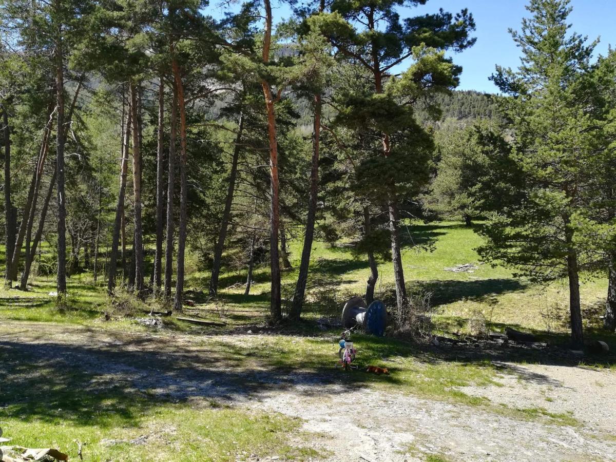 Отель Les Pinees Шатору-лез-Альп Экстерьер фото